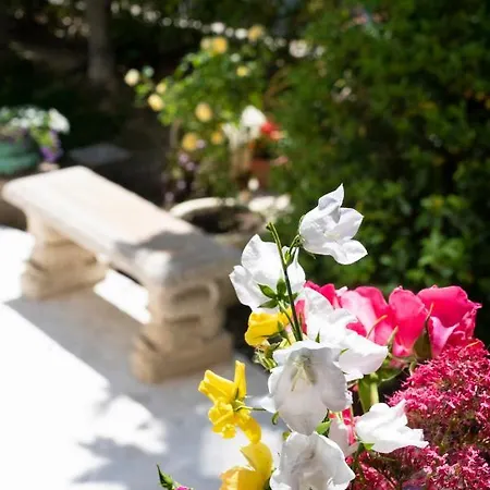 Pensión Dimora Morello