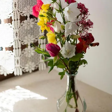 Pensión Dimora Morello Poggio Morello