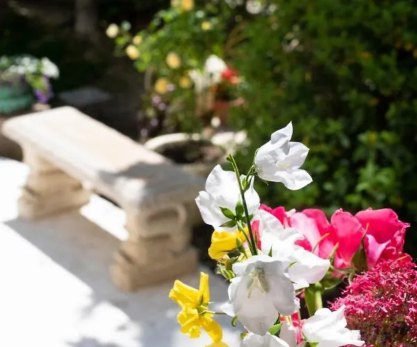 Affittacamere Dimora Morello