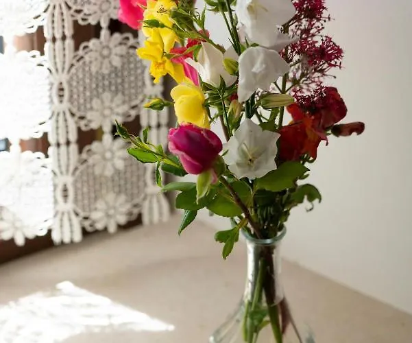 بيت ضيافة Dimora Morello Poggio Morello